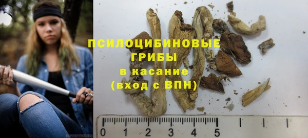 apvp Алзамай