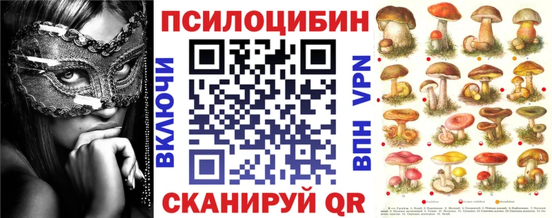 даркнет сайт  Узловая  Галлюциногенные грибы Cubensis 